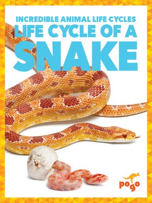 cover image of Life Cycle of a Snake